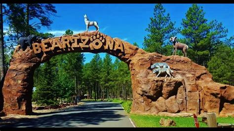 Bearizona wildlife park az - Gifts For The Whole Family. Remember your Bearizona adventure with some of the best gifts for kids and adults. Shop your favorite grizzly apparel to help support our rescued grizzlies: Hanna, Crockett, & Sky. Join us as we work to provide animals in need with a home.